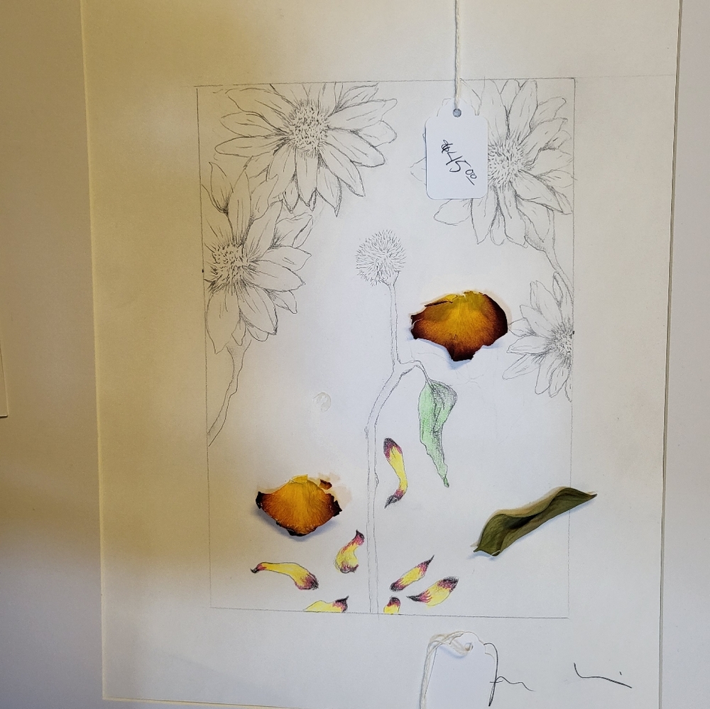 Artist Debut pencil art